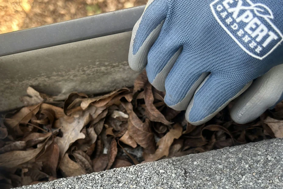 Gutter Cleaning Wrightsville Beach